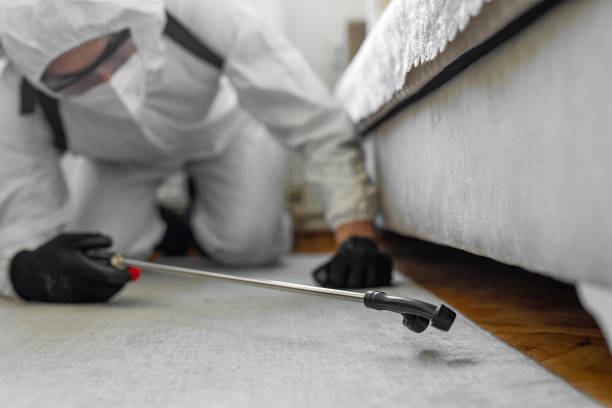 Professional Termite Control technician working in Oakley, CA