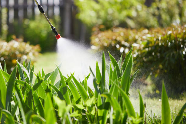 24/7 Emergency Termite Control experts in Oakley, CA