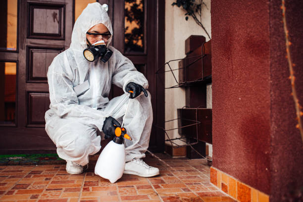 Reliable Termite Control contractor in Oakley, CA by Nex Pest Control