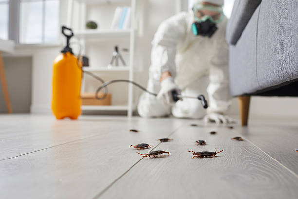 Affordable Termite Control solutions in Oakley, CA